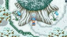 Imagen 11 de Harvest Moon DS