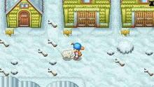 Imagen 10 de Harvest Moon DS