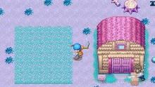 Imagen 8 de Harvest Moon DS