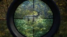Imagen 4 de theHunter: Call of the Wild