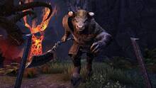 Imagen 165 de The Elder Scrolls Online: Tamriel Unlimited