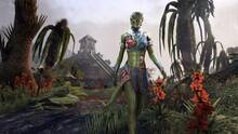 Imagen 168 de The Elder Scrolls Online: Tamriel Unlimited