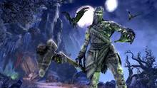 Imagen 241 de The Elder Scrolls Online