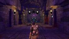 Imagen 2 de Dungeons and Dragons Online