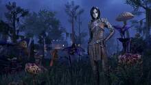 Imagen 70 de The Elder Scrolls Online: Morrowind