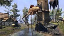Imagen 75 de The Elder Scrolls Online: Morrowind