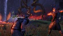 Imagen 65 de The Elder Scrolls Online: Morrowind