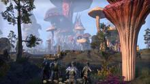 Imagen 49 de The Elder Scrolls Online: Morrowind