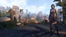 Imagen 12 de The Elder Scrolls Online: Morrowind