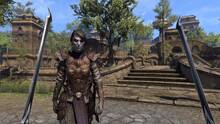 Imagen 29 de The Elder Scrolls Online: Morrowind