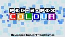 Imagen 8 de Pic-a-Pix Color eShop