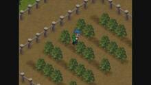 Imagen 3 de Harvest Moon 64 CV