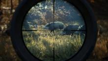 Imagen 28 de theHunter: Call of the Wild