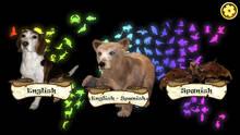 Imagen 9 de Hidden Animals: English - Spanish