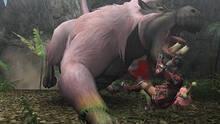 Imagen 10 de Monster Hunter 2