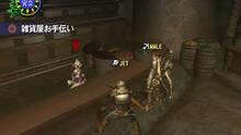 Imagen 16 de Monster Hunter 2