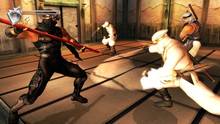 Imagen 7 de Ninja Gaiden Black