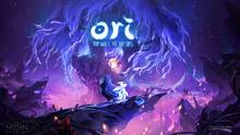 Imagen 20 de Ori and the Will of the Wisps