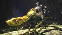 Imagen 223 de Monster Hunter World