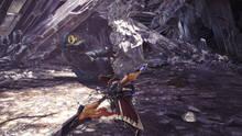 Imagen 289 de Monster Hunter World