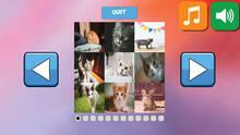 Imagen 1 de Bepuzzled Kittens Jigsaw Puzzle