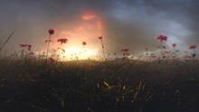 Imagen 2 de Conscious Existence - A Journey Within