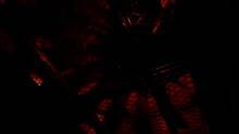 Imagen 15 de EBOLA