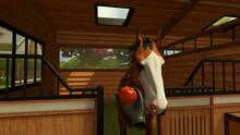 Imagen 3 de Rival Stars Horse Racing: VR Edition