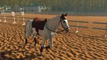 Imagen 5 de Gallop Glory: Obstacle Racing & Horse Simulator