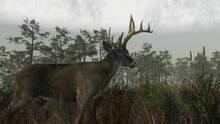 Imagen 64 de Deer Hunting Camp