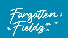 Imagen 4 de Forgotten Fields