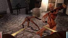 Imagen 48 de Dark Messiah of Might & Magic