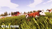 Imagen 20 de Real Farm