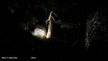 Imagen 9 de Brave