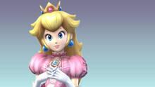 Imagen 354 de Super Smash Bros. Brawl