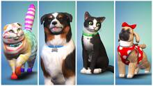 Imagen 7 de Los Sims 4: Perros y Gatos