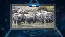Imagen 3 de Trials of the Illuminati: Amazing Wildlife Jigsaws