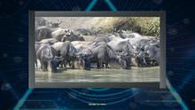 Imagen 6 de Trials of the Illuminati: Amazing Wildlife Jigsaws