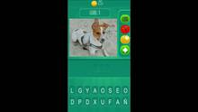 Imagen 3 de Animalia - The Quiz Game