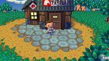 Imagen 38 de Animal Crossing: Let's Go To The City