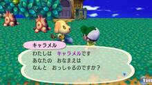Imagen 93 de Animal Crossing: Let's Go To The City