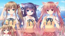 Imagen 4 de NEKO-NIN exHeart +PLUS Saiha