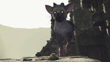 Imagen 31 de The Last Guardian VR
