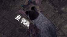 Imagen 2 de The Last Guardian VR