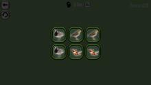 Imagen 4 de Animals Memory: Birds