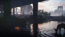 Imagen 114 de Tom Clancy's The Division 2