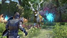 Imagen 182 de The Elder Scrolls Online: Tamriel Unlimited