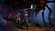 Imagen 11 de The Elder Scrolls Online: Summerset