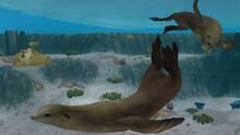 Imagen 4 de Zoo Tycoon 2: Marine Mania