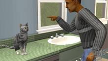 Imagen 61 de Los Sims 2 Mascotas